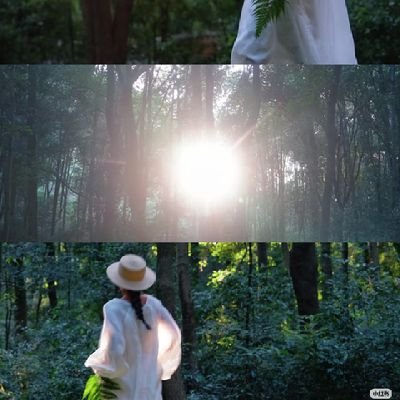cai_ai94749's profile picture. 艾也是愛，愛菜的菜，互關互fo哦~
Ai is also love,Love's vegetable, let's follow each other~
