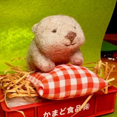 やまぐちぇさんのプロフィール画像