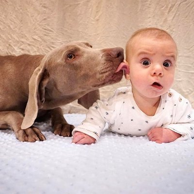 Khavendoza's profile picture. A teacher affects eternity; he can never tell where his influence stops.