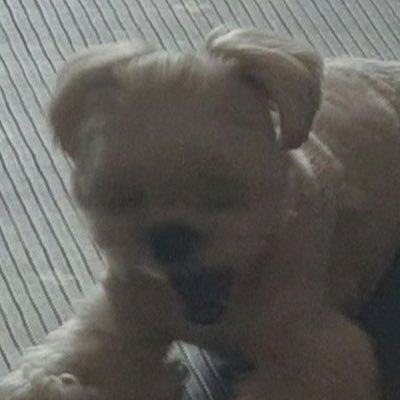 l03020127's profile picture. 💰💰💰💰