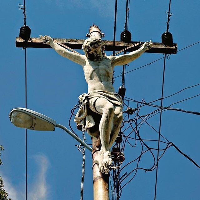 near_0xrhea's profile picture. 