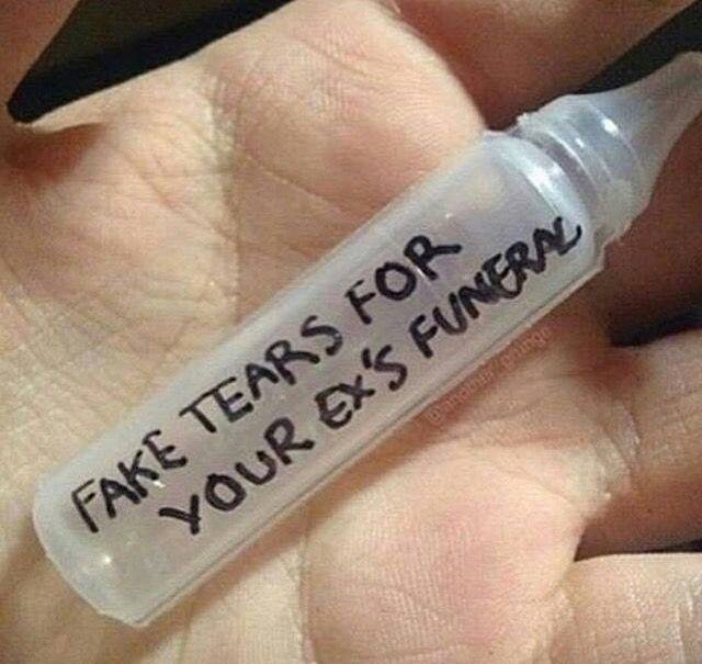 forgeon0xrex's profile picture. 