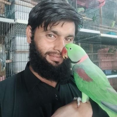 ismailk64789927's profile picture. I love my Pakistan