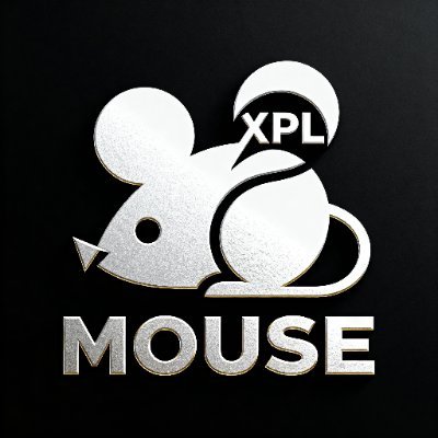 mouse_xpl's profile picture. The first mouse on the Plasma chain, let's go to the moon together, okay? Yes, this will be a real example @Plasma