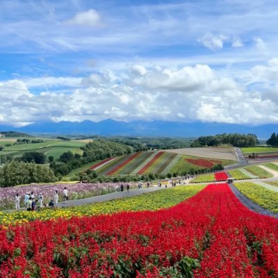 wmqog58187496's profile picture. 図書館は私のパワースポットで、本に囲まれると心が落ち着きます