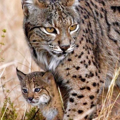 Nessie8383's profile picture. 