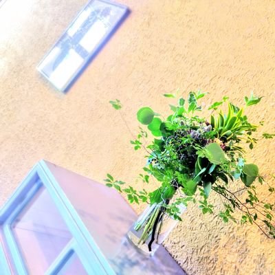 xcM32sKE1224's profile picture. 李に嶺と書いて【ねも】と言います✨

コスプレ初心者🔰(3月仙コミ参加予定！)
WB／twst／ヒプマイ／プロセカ／ギヴン／とか、

東北／夢女子／腐女子／義務教育済20⬇／歌い手界隈／無言フォロー失礼／