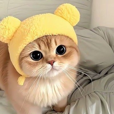 Merilin1879's profile picture. Don’t worry, be happy  ❤️