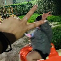 柘榴 (@amri_1216) 's Twitter Profile Photo