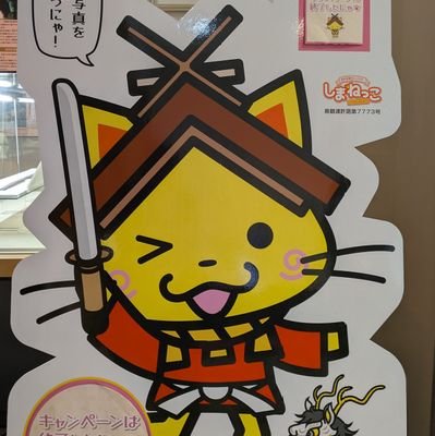 ari⛸️🥦1000city🐷292(広報部長さんのプロフィール画像