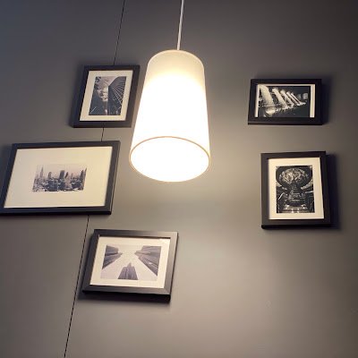 duke08020407's profile picture. 