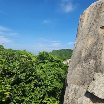 nghiahotran's profile picture. 