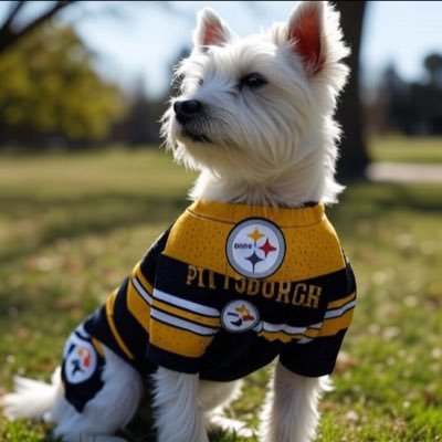 Hey, I’m Albert, Dublins most mischievous Westie ☘️ I’m a full time troublemaker keeping my humans on their toes one bark at a time 🐕 #dublindoggo #westielife