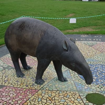 エレンさんのプロフィール画像