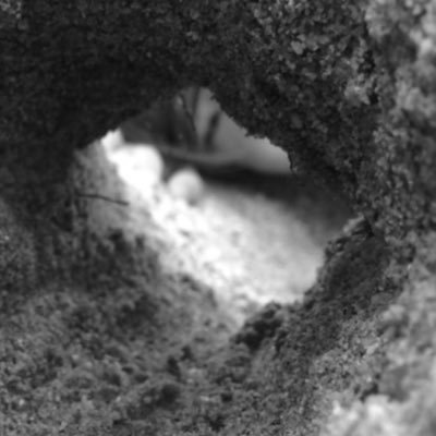 madoi_note's profile picture. 