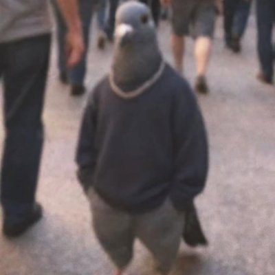 n0rzeycs's profile picture. playing for @badbeaverscs