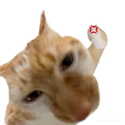 hyunjindasilva_'s profile picture. tudo o que provavelmente pesaria muito o clima na outra conta