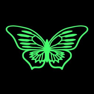Hash_Butterfly's profile picture. From Metamorphosis to Movement — We Rise TogetheR