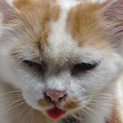 CKusuya1983's profile picture. 