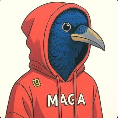VandalCrow's profile picture. Life’s connoisseur, decoding the wild & weird. I’ll pick the brains 🧠 for you—Investor, part- 🐦 | AI, tech, science, crypto insights.