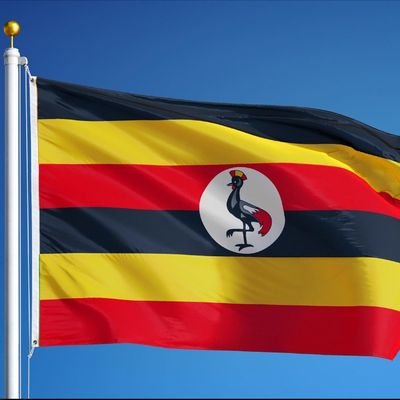 RuthNnyanye's profile picture. 