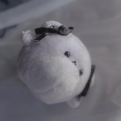20↑ 雑食ギャ 基本大阪参戦してます✝️ 呼びタメ大歓迎なので仲良くしてくださると嬉しいです🐰💓【@Qu_mathilda】【@NoClear0000N2】Sui. 「砂糖菓子の弾丸」