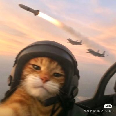 84_systemerror's profile picture. I don’t care, Retardio…!