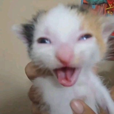 nhn0239's profile picture. vẽ và đăng linh tinh