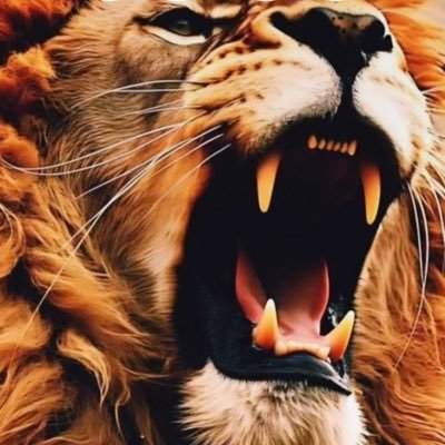 gokhanyureklii's profile picture. 