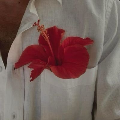 Si no te parece bien, no lo hagas. Confía en tu intuición y no preguntes por qué, simplemente di que no.
Maria Erving