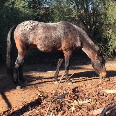 chrisbcream14's profile picture. 