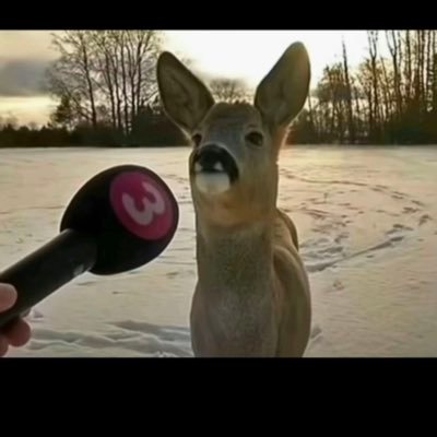 manugotme's profile picture. TELE: @BOS7414G Get at me | 6’3 tatted dread head monstaaa | Jax FL | In love with nasty shit