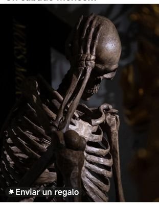 FelipeS31361687's profile picture. (NO LEO NI RESPONDO MD)
Me gusta que pierda el Betis