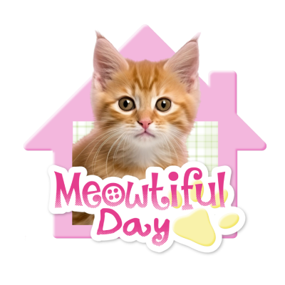 ^. .^₎⟆ 🐈‍⬛ Profile