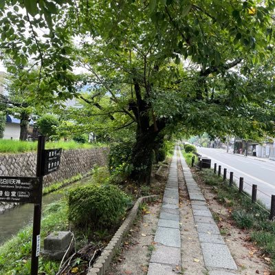 t2K4Fe5mGJ45102's profile picture. 