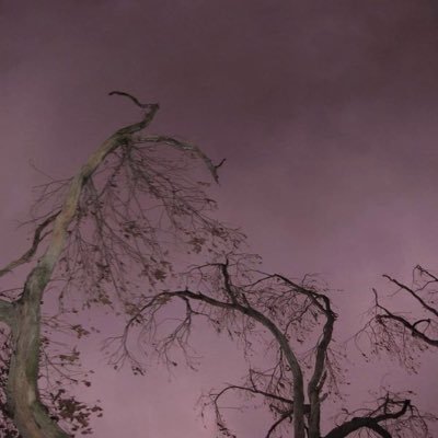 kuleoi's profile picture. backup/spam account | main: @kuudoki_