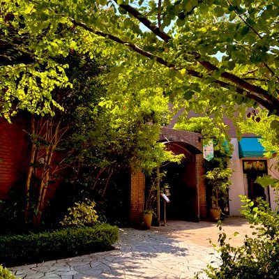 Ikachawn's profile picture. ゆったり写真撮りながら旅したい