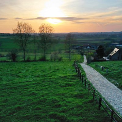 BingoBirne's profile picture. 