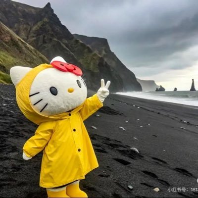 13daydayup's profile picture. 日拱一卒 天天向上