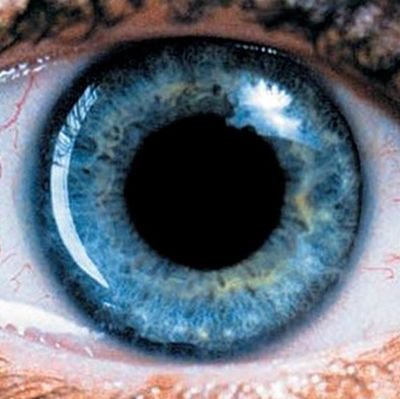 Udhaya_Prabakar's profile picture. 