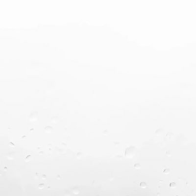 citronnelle__'s profile picture. 🌱🧣