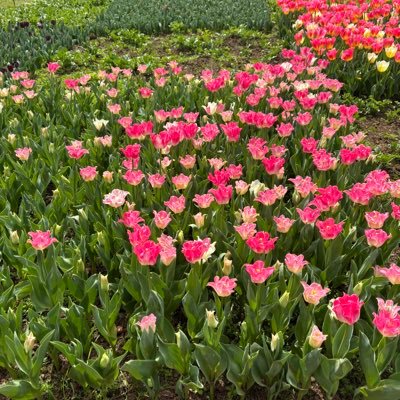 benhes132's profile picture. 