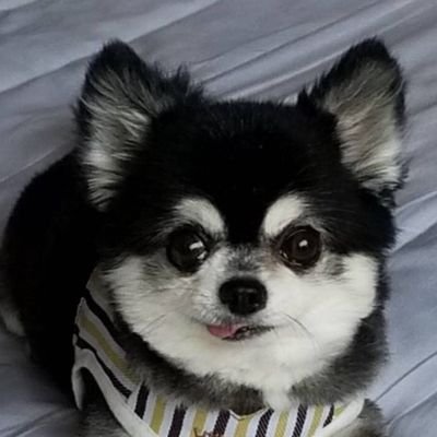 yuu_mo1113's profile picture. 連ザからエクバシリーズずっとやってて今は15年ぶりぐらいに格ゲー初めてDNFデュエルにお熱
ドラゴンナイトコンボだけ全１おじさん(自称)