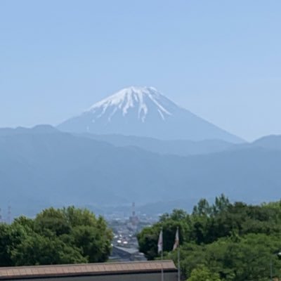 kazoku_bosyu's profile picture. ただの動物好きな日本を守りたいアカウントです。ソーラーパネル反対。移民反対。野生動物と共存できる取り組みを。
