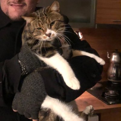 holfzendorff's profile picture. 