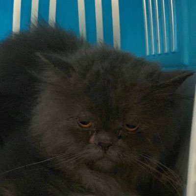 HAIKAL30887's profile picture. 