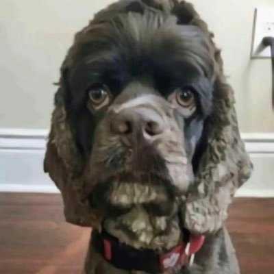 Jack20728491's profile picture. 