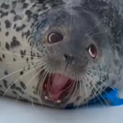 SpaceDemoness's profile picture. ✨🌟💖A Demoness from Space💖🌟✨ 🌘💖🌒 29 🔞NSFW🔞 OCs and Safe Space 💖 FREE PALESTINE 🇵🇸