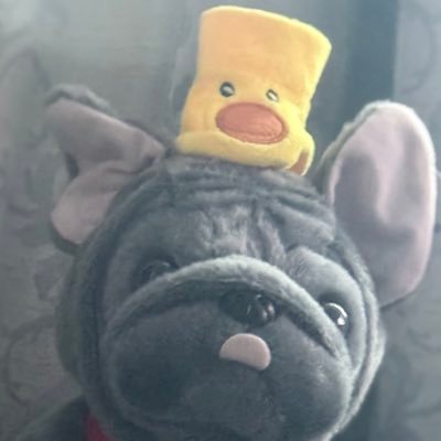 The_Nanny_Dooo's profile picture. I’m a boomer so that’s my excuse❣️ I support Independent Journalism❣️Proudly part of the FKR Movement❣️  🐈 mom    🐶 mom❣️