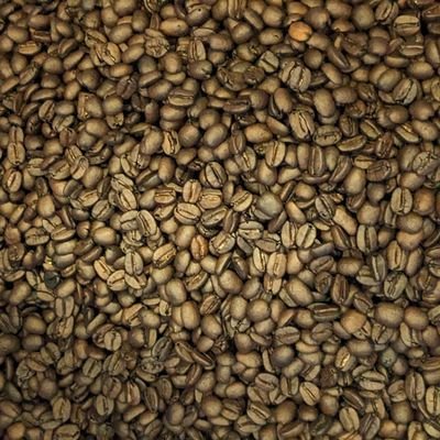 ryoooota_coffee's profile picture. 